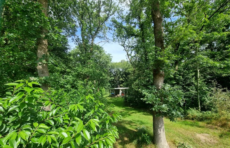 Natuurhuisje in Wateren