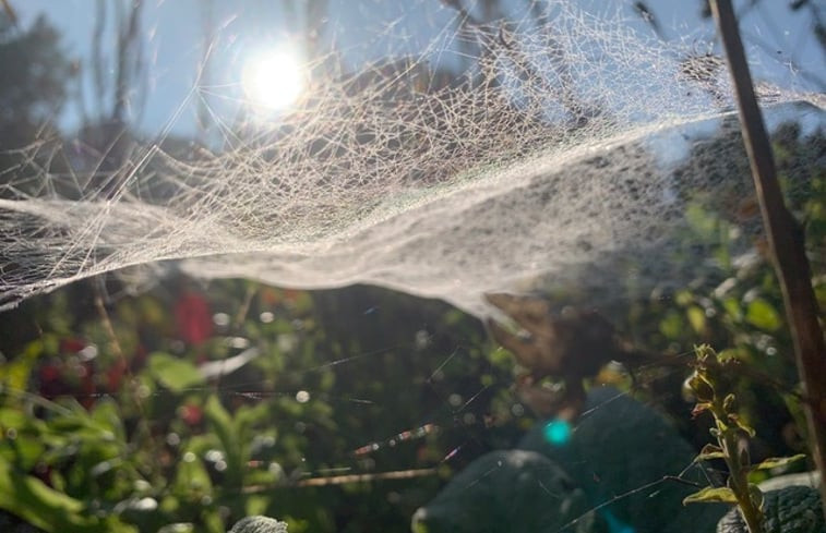 Natuurhuisje in Neede