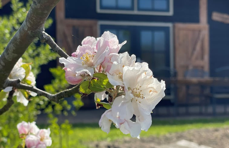 Natuurhuisje in Tuitjenhorn