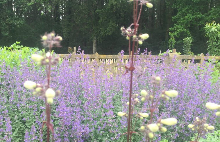 Natuurhuisje in Genk