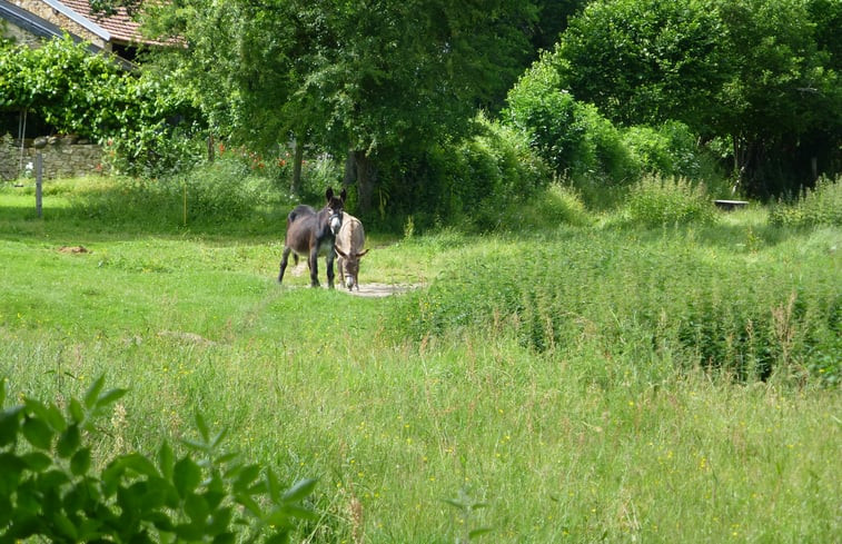 Natuurhuisje in St. Hilaire pres Pionsat