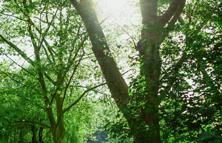 Natuurhuisje in Karlsruhe