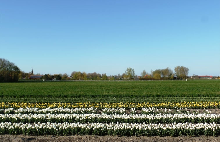 Natuurhuisje in Zonnemaire