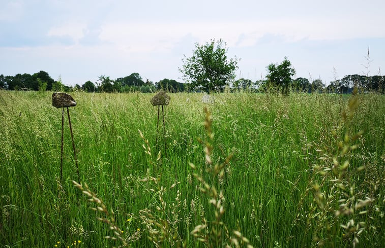 Natuurhuisje in Harfsen