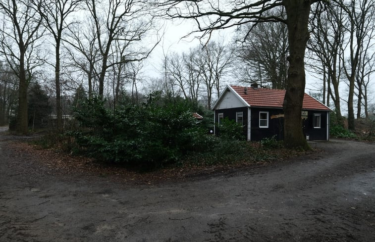 Natuurhuisje in Beerze