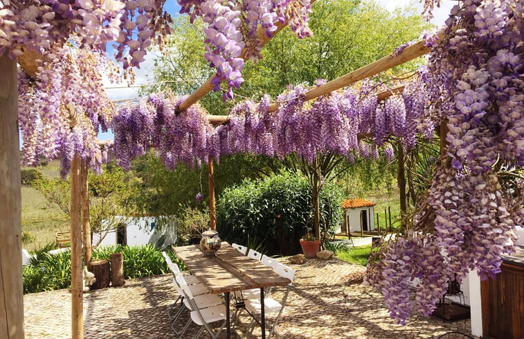 Natuurhuisje in Vimeiro, Alcobaça