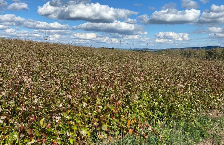 Natuurhuisje in Saint Gervais-de-Auvergne