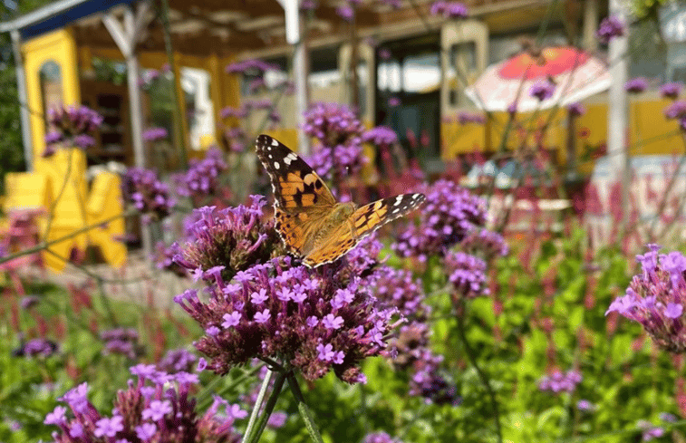 Natuurhuisje in Vinkeveen