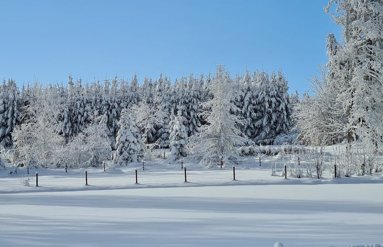 Natuurhuisje in Vielsalm (Baraque de Fraiture)