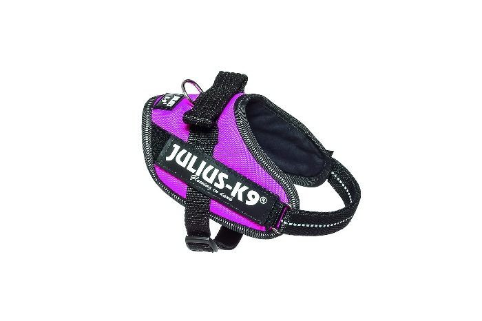 Julius K9 IDC Powertuig Mini Roze