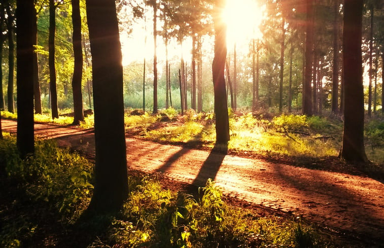 Natuurhuisje in Veeningen