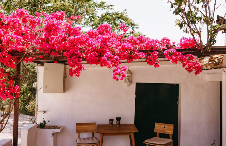 Natuurhuisje in Málaga