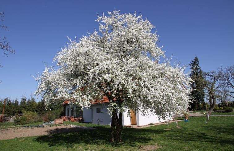 Natuurhuisje in Tuklaty