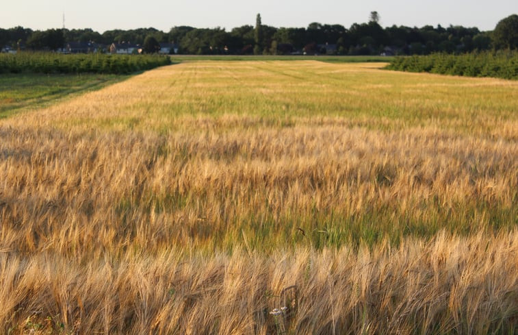 Natuurhuisje in Exloo