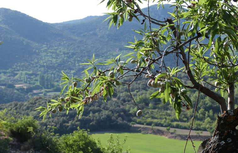 Natuurhuisje in Juseu