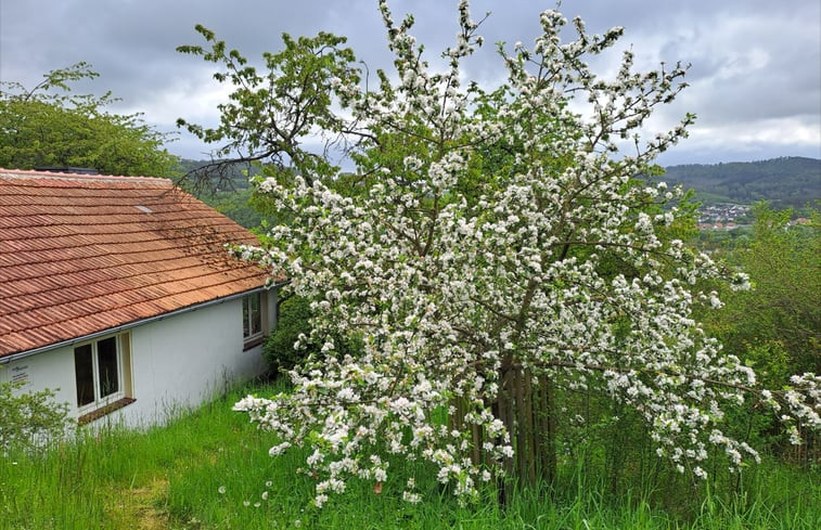 Natuurhuisje in Spangenberg-Elbersdorf