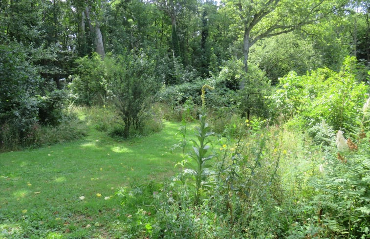 Natuurhuisje in Castricum