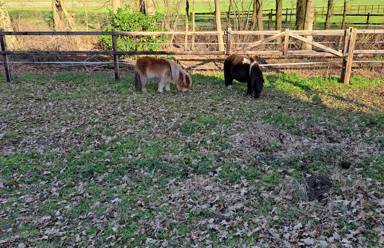 Natuurhuisje in Markelo