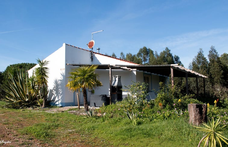 Natuurhuisje in Santiago do Cacém