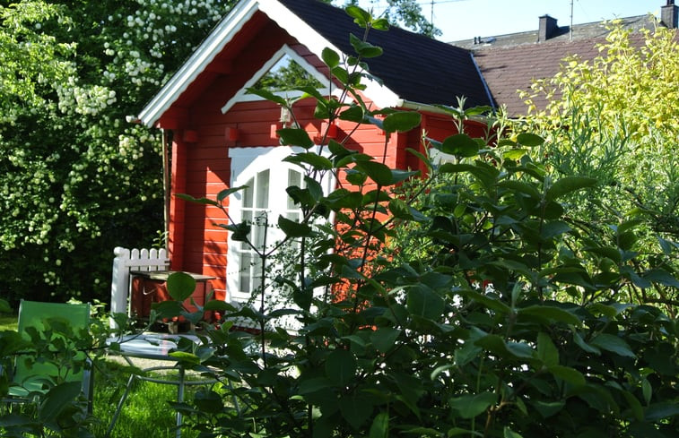 Natuurhuisje in Bernkastel-Kues