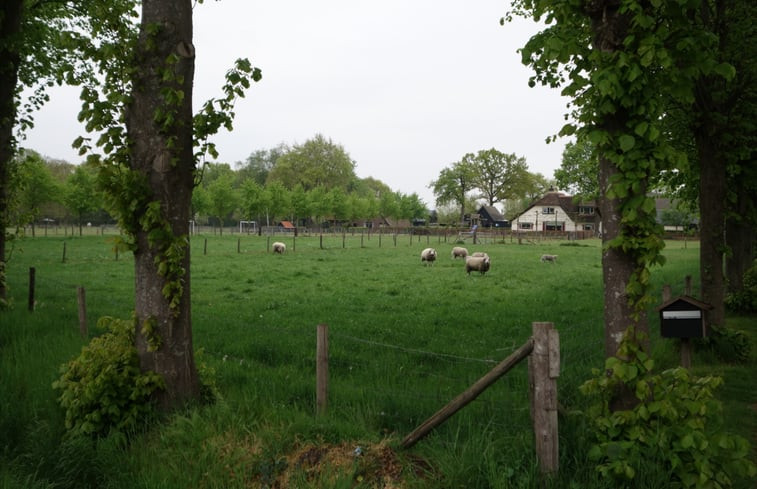 Natuurhuisje in Uddel