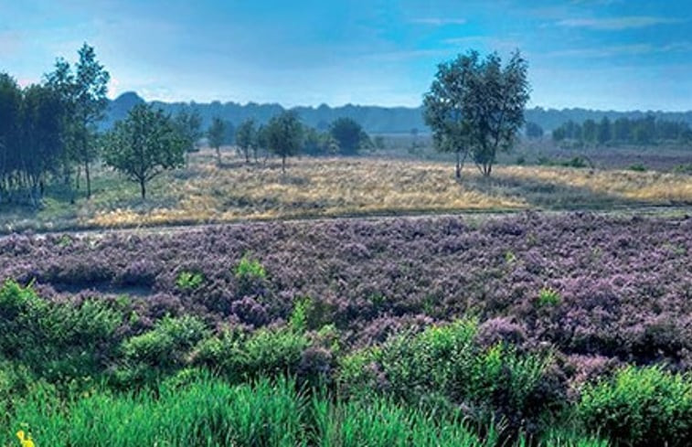 Natuurhuisje in Harfsen