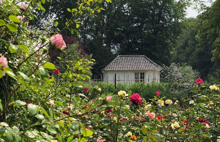 Natuurhuisje in Loon op Zand