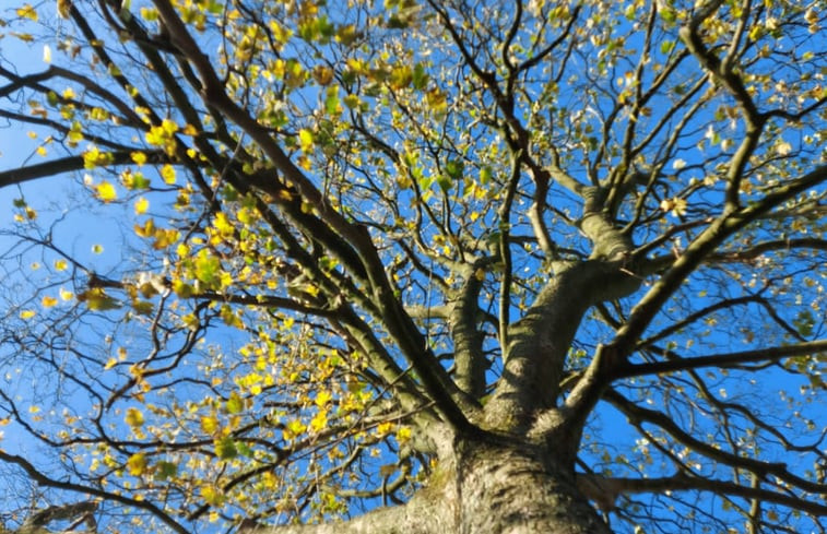 Natuurhuisje in Koewacht