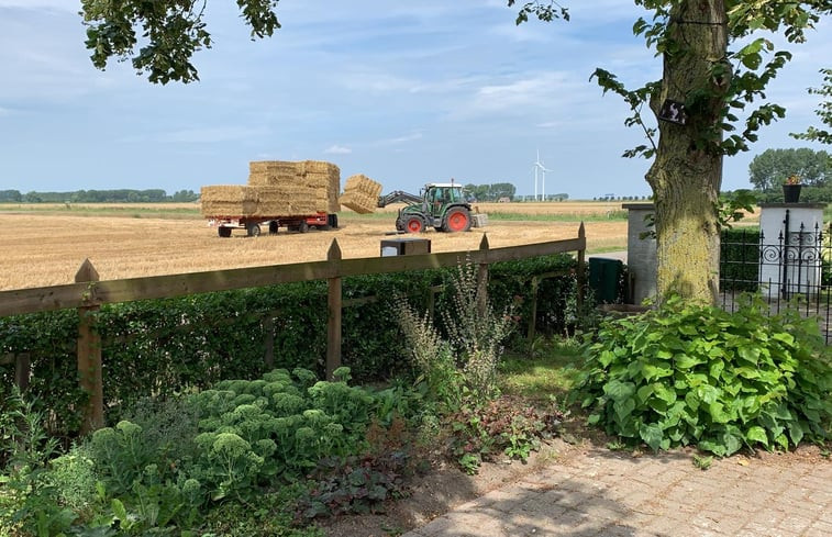 Natuurhuisje in IJzendijke