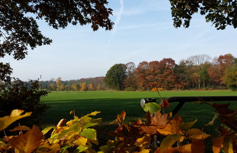 Natuurhuisje in Holten