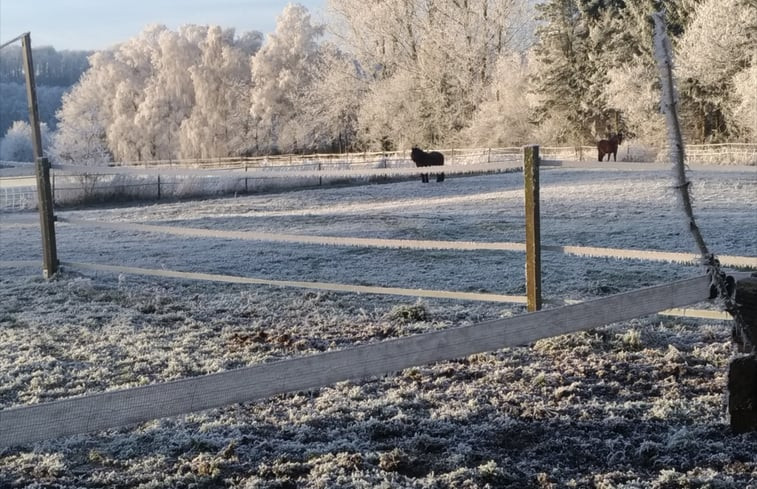 Natuurhuisje in Tecklenburg