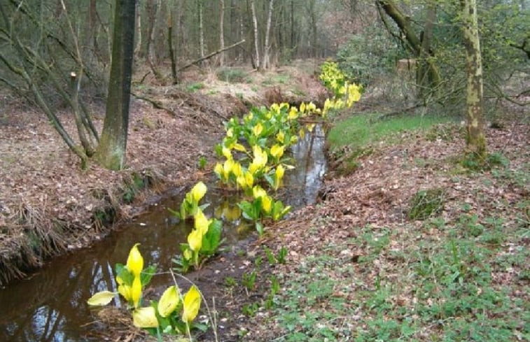 Natuurhuisje in Beckum