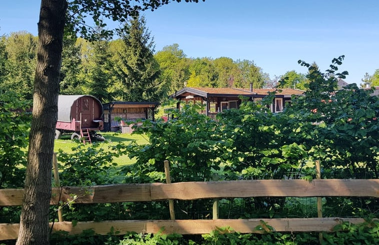 Natuurhuisje in de Lutte