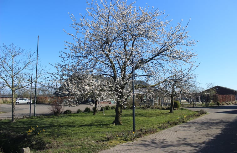 Natuurhuisje in Heusden gem. Asten