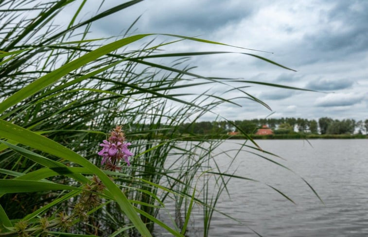 Natuurhuisje in Nieuwe Niedorp