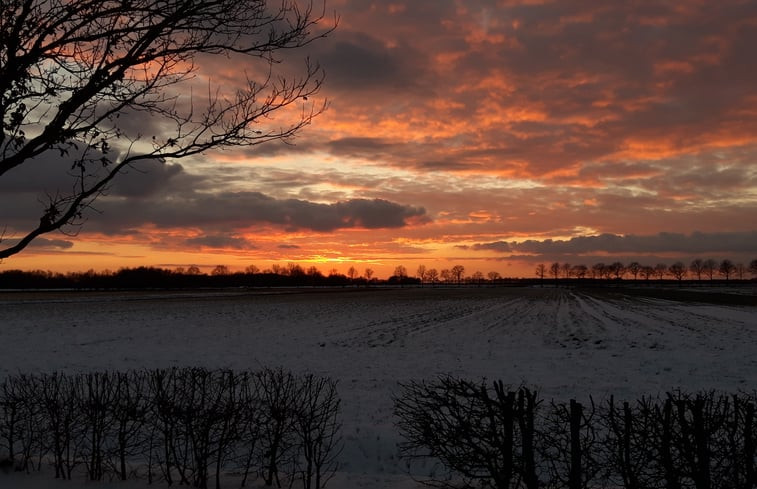 Natuurhuisje in Wedde