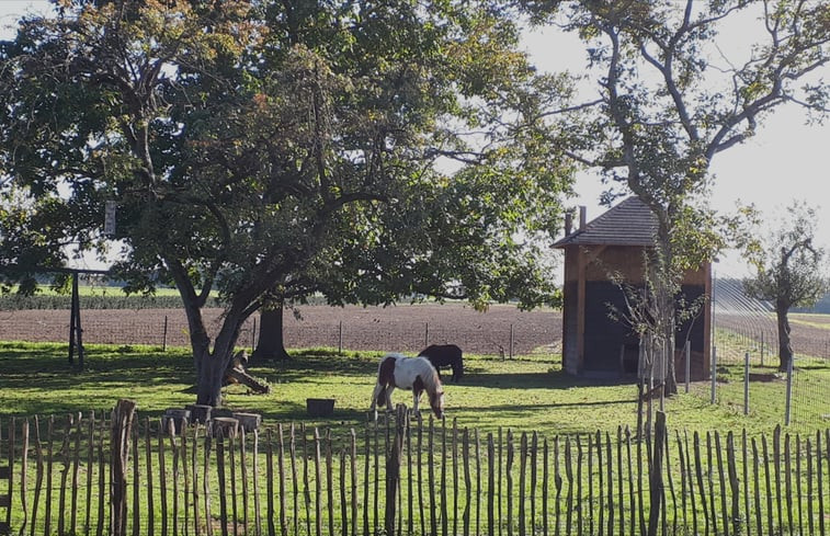 Natuurhuisje in Nederweert_Eind