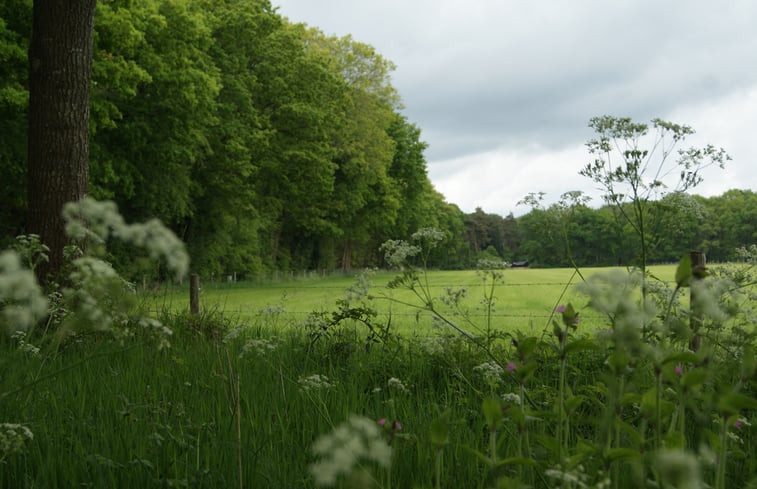 Natuurhuisje in Norg