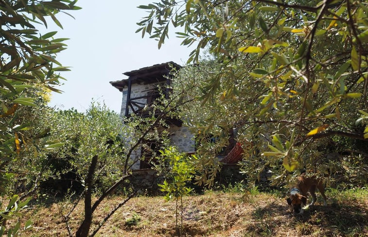 Natuurhuisje in Mouresi, Pelion