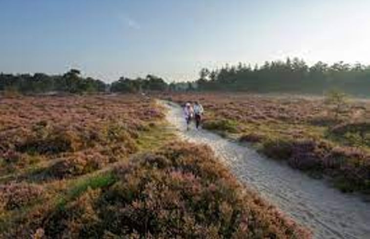 Natuurhuisje in De Wilp