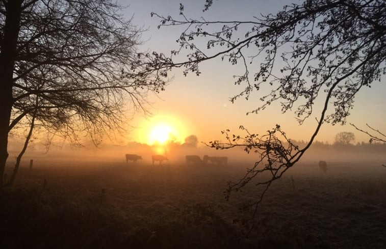 Natuurhuisje in Brummen