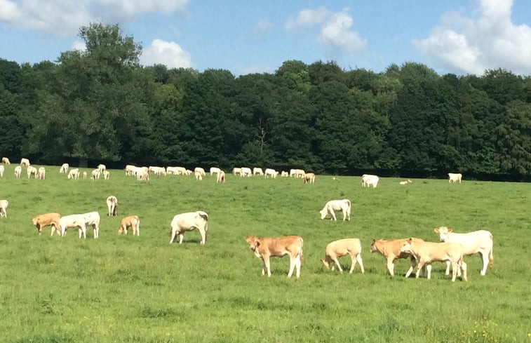 Natuurhuisje in Walincourt