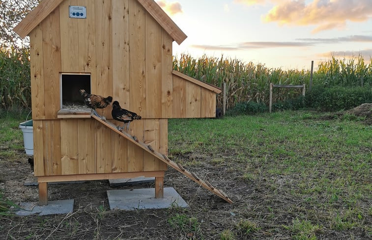 Natuurhuisje in Herk-de-Stad