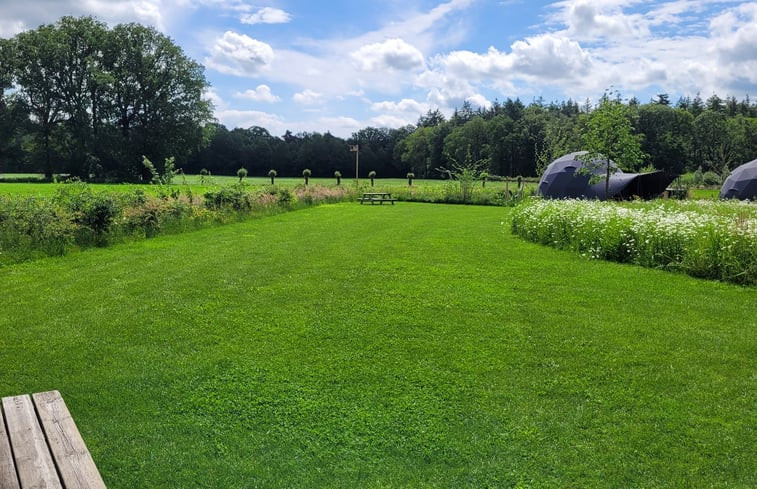 Natuurhuisje in Ruurlo