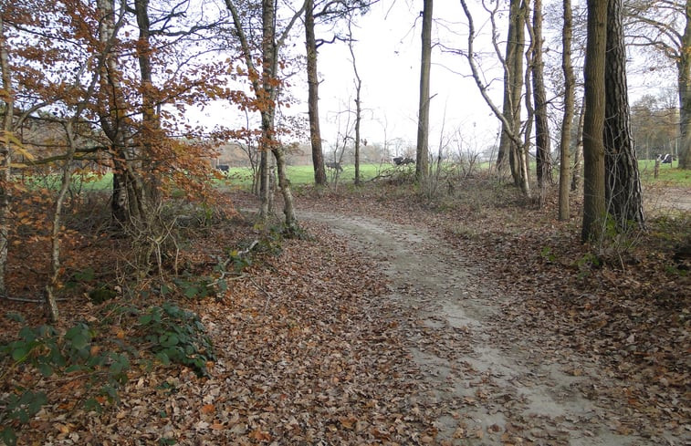 Natuurhuisje in Bathmen