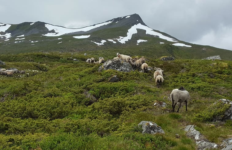 Natuurhuisje in Lauvstad