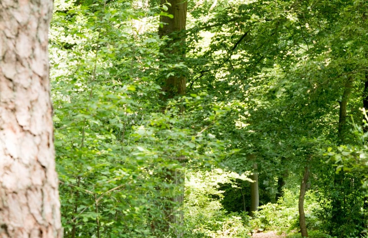 Natuurhuisje in Winterswijk Woold