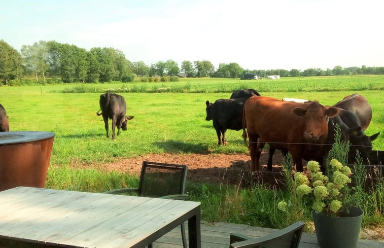 Natuurhuisje in Erp