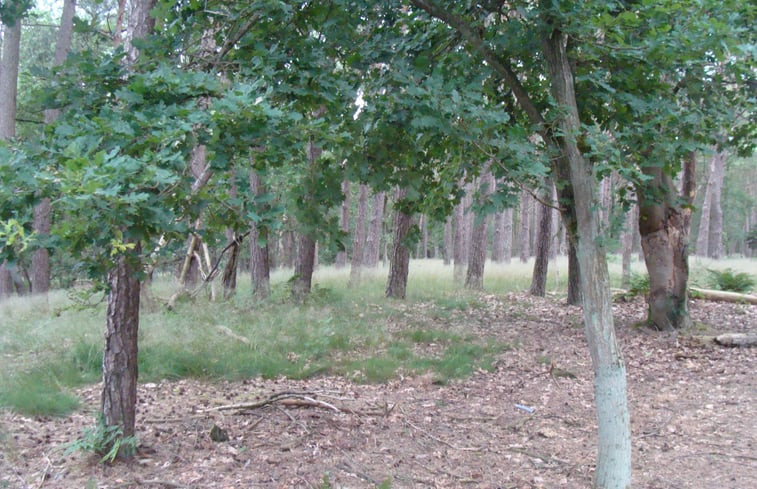 Natuurhuisje in Drunen