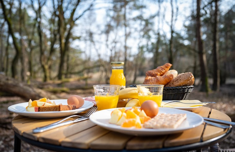 Natuurhuisje in Elspeet